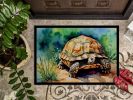 Turtles Tortoises Doormat Front Door Mat Indoor Outdoor Rugs for Entryway, Non Slip Washable Low Pile, 24H X 36W